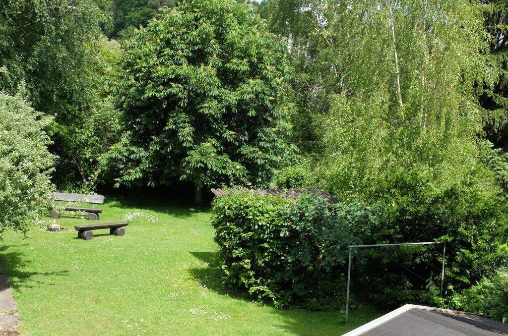 Schoene Aussicht Bad Konig Bagian luar foto