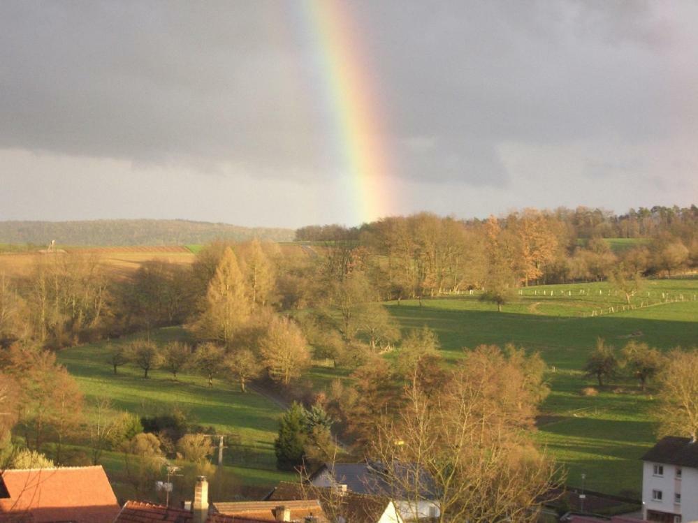 Schoene Aussicht Bad Konig Bagian luar foto